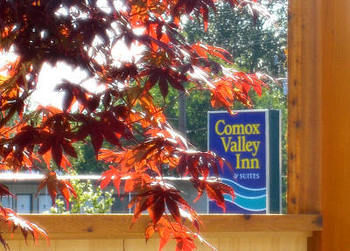 Comox Valley Inn & Suites Кортни Экстерьер фото